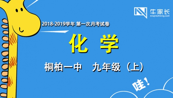 2018-2019学年桐柏一中 九年级（上）化学 首次月考试卷