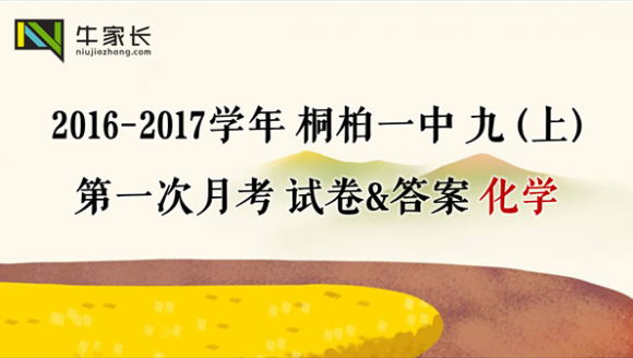 2016-2017学年桐柏一中 九年级（上）化学第一次月考试卷解析