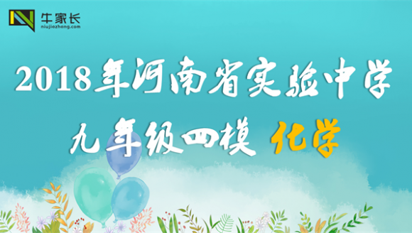 【化学】2018年河南省实验中学九年级四模试卷