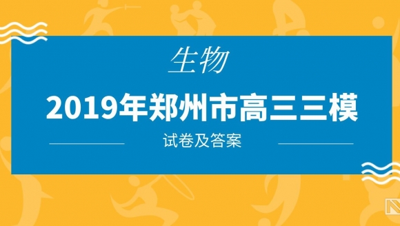 2019郑州高三三模（生物）试题及答案